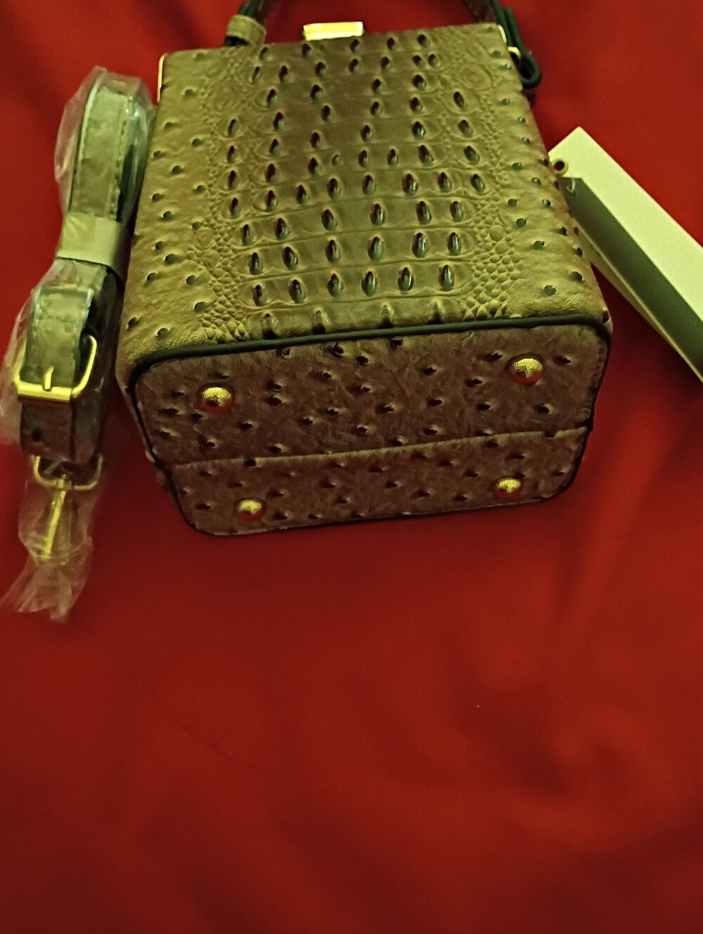 Crocodile Look & Cubic Zirconia Lock Unique NWT. Firm